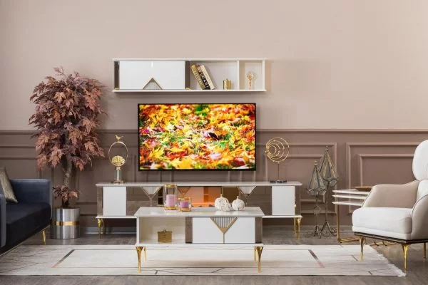 kontes-tv-unitesi(2)