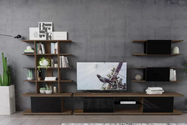 carina-tv-unitesi