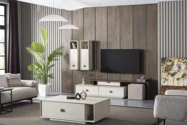 orjin-tv-unitesi