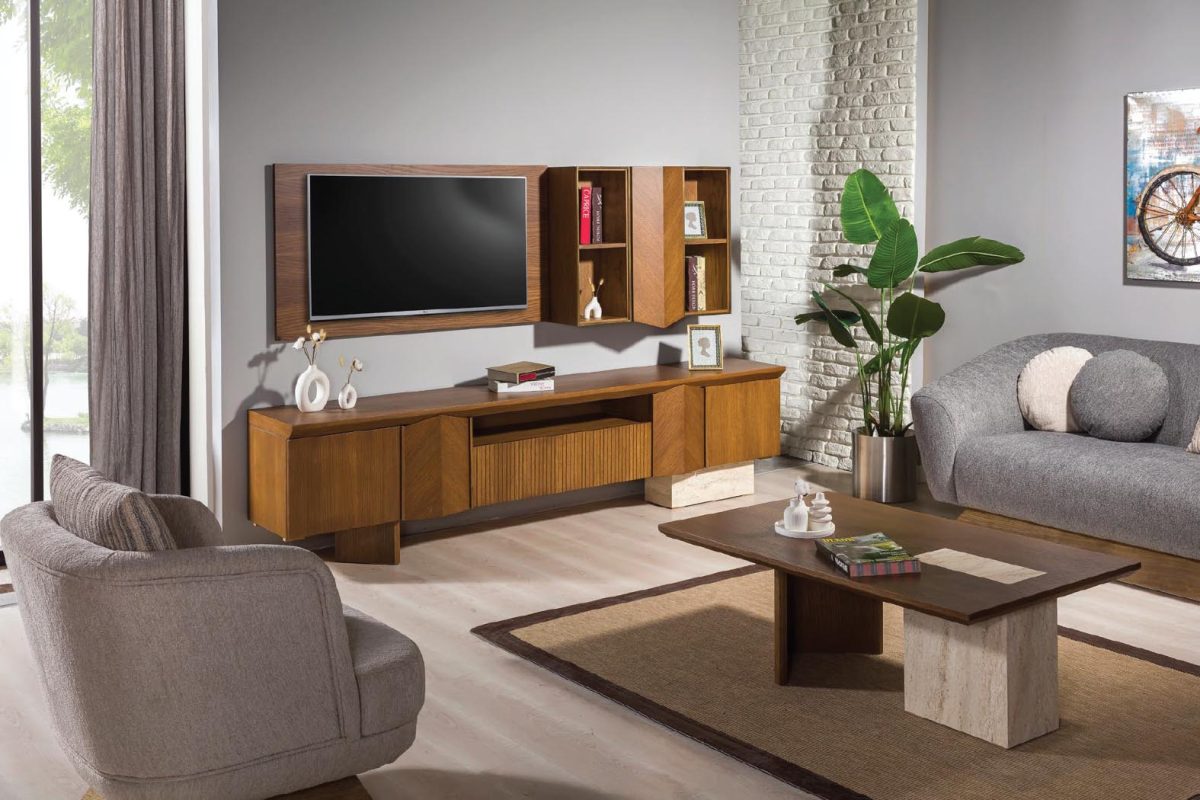 lavinya-tv-unitesi